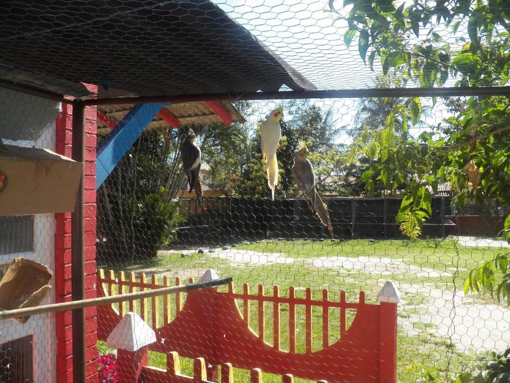 Pousada Solar Das Conchas Cabo Frio Exteriör bild